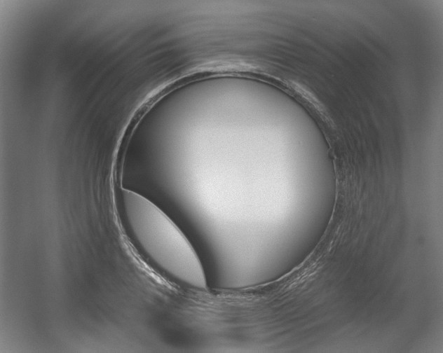 X0000057560840200509160808