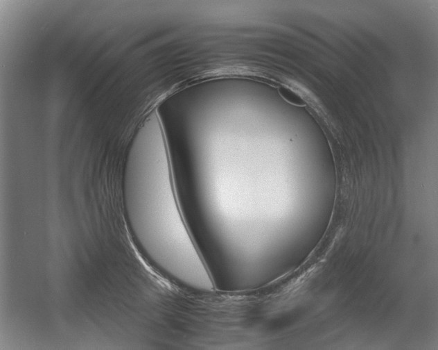 X0000057560849200509160808