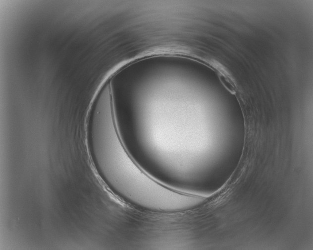 X0000057560854200509160808