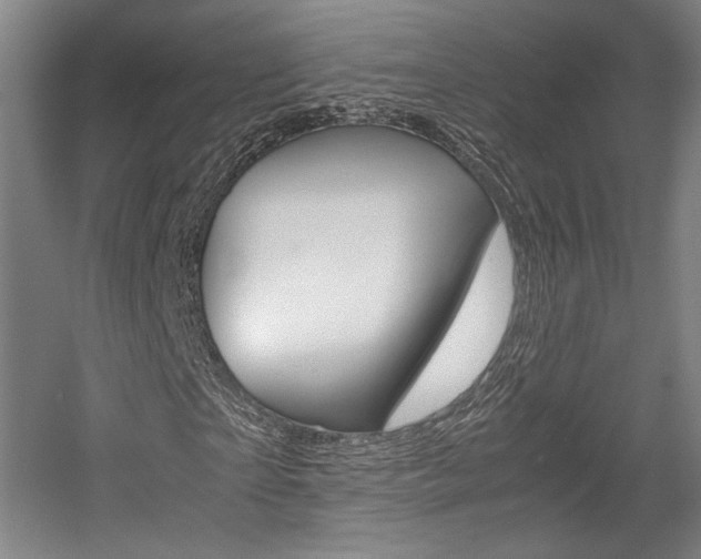 X0000057560865200509160808