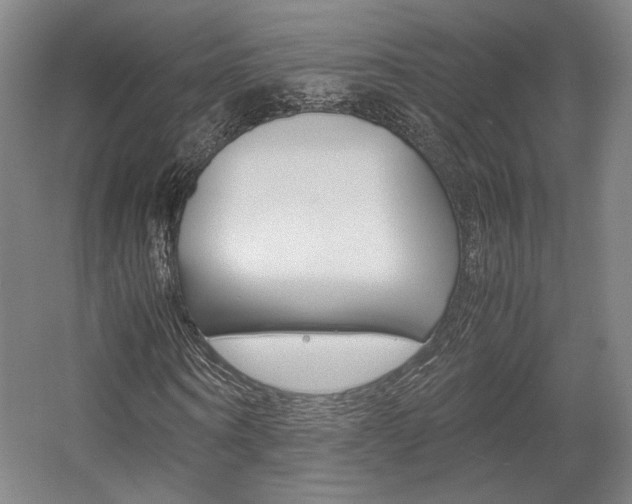 X0000057560866200509160808