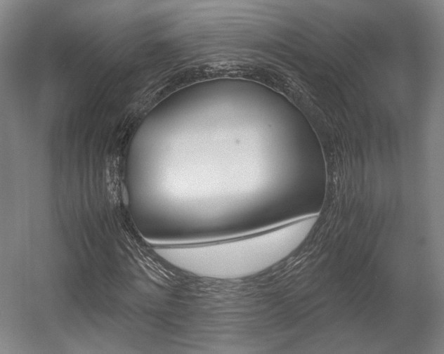X0000057560868200509160808