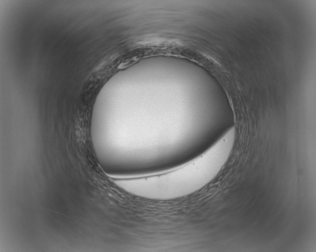 X0000057560869200509160808