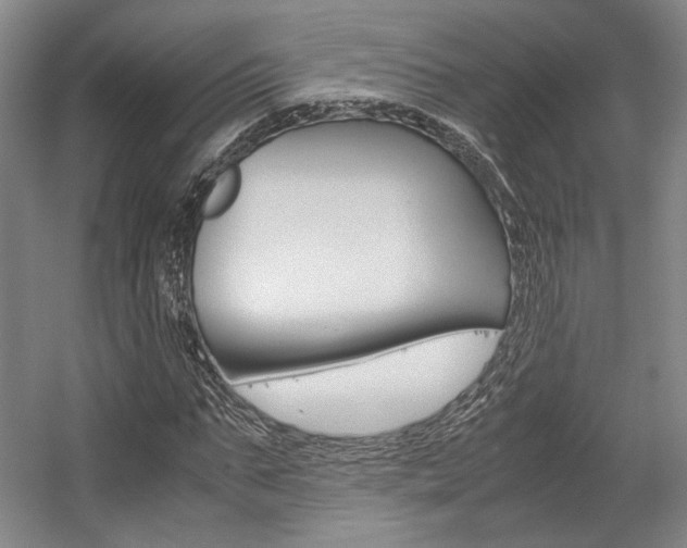 X0000057560871200509160808