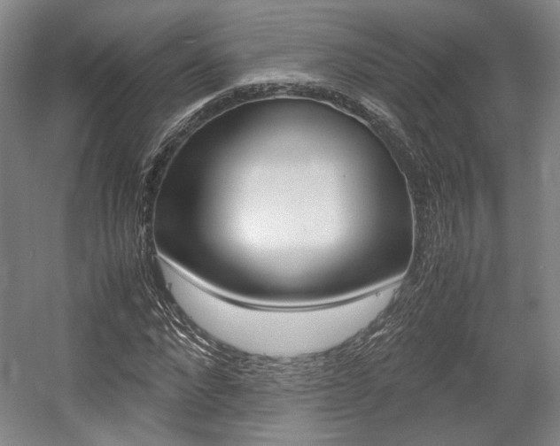 X0000057560872200509160808