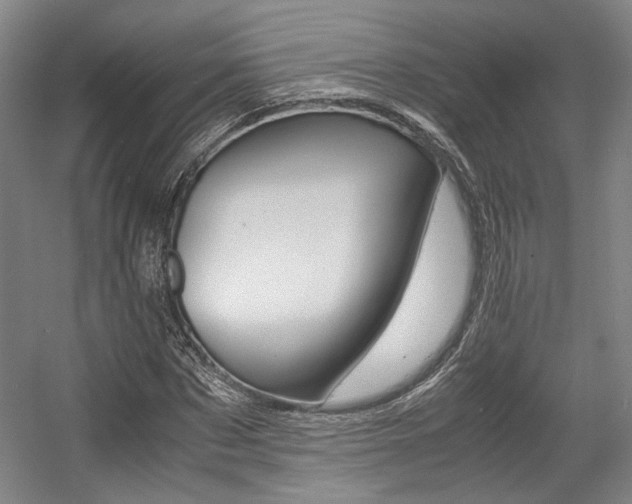 X0000057560873200509160808