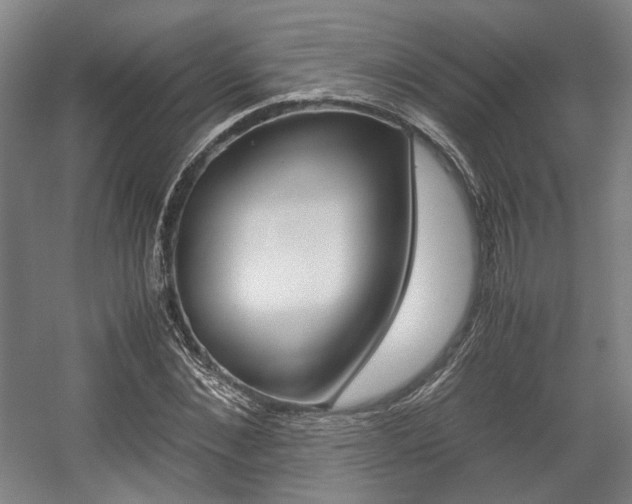 X0000057560876200509160807