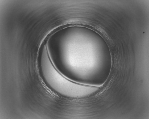 X0000057560880200509160807