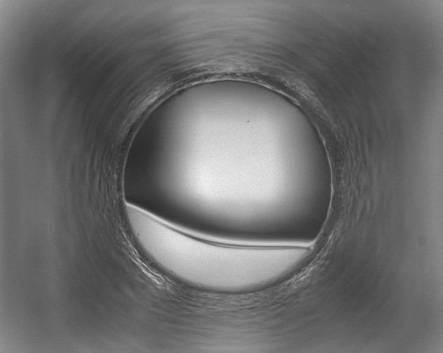 X0000057560881200509160807