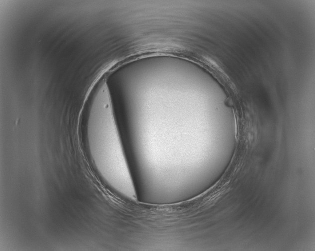 X0000057560883200509160807