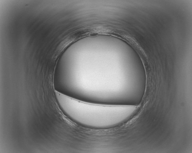 X0000057560889200509160807