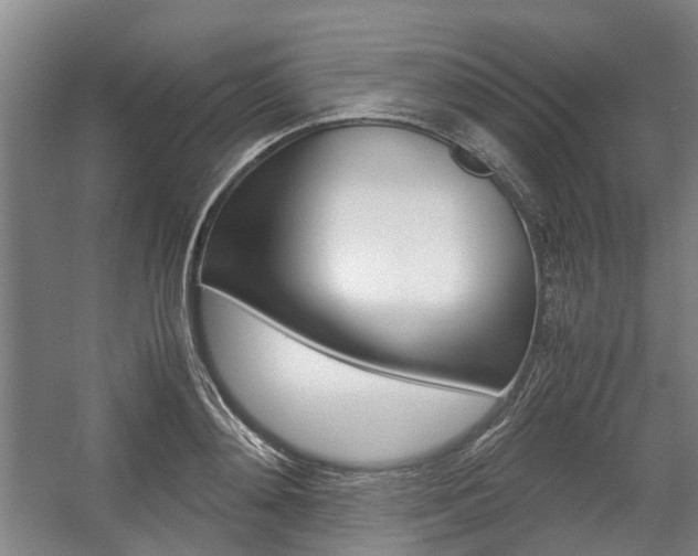 X0000057560892200509160807