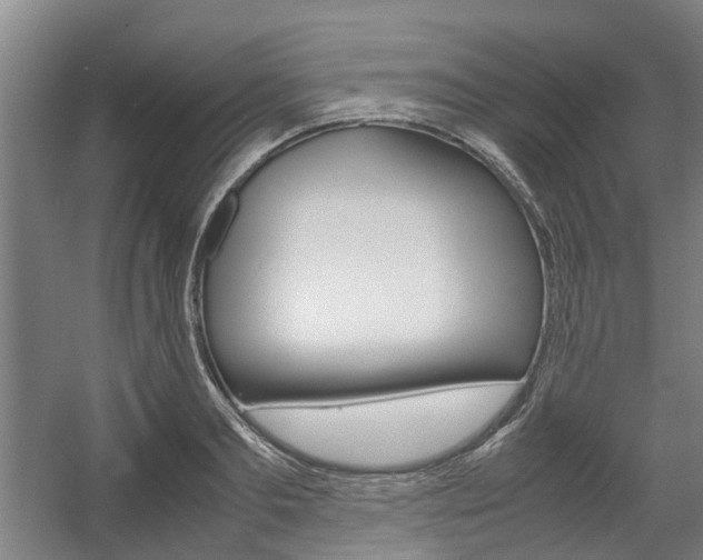 X0000057560893200509160807