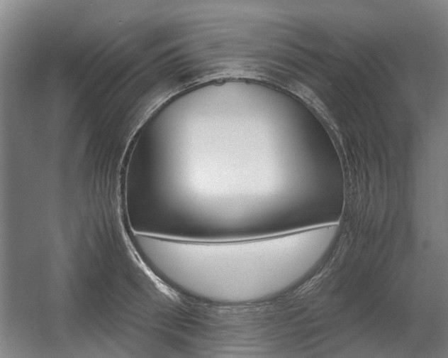 X0000057560898200509160807