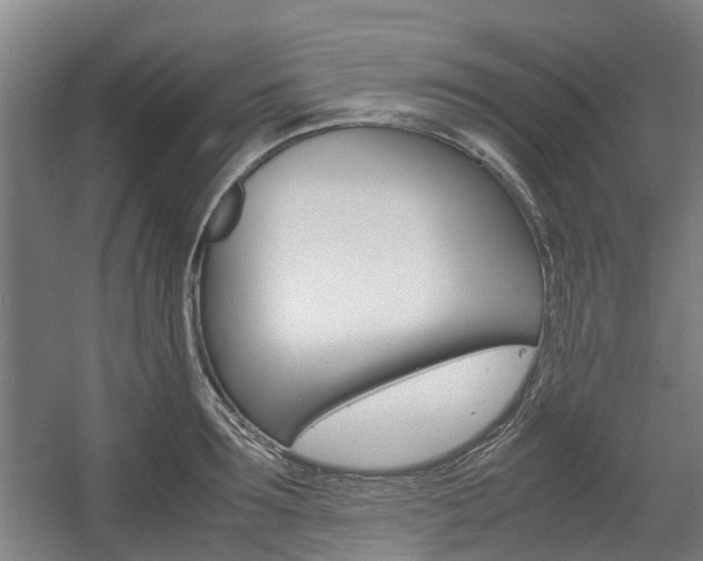 X0000057560899200509160807