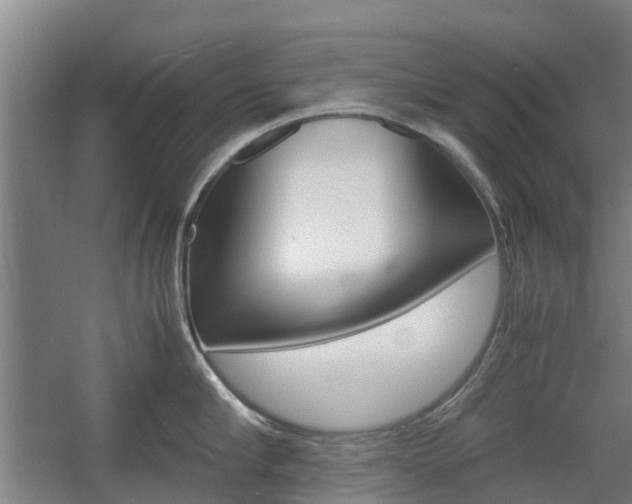 X0000057560910200509160807