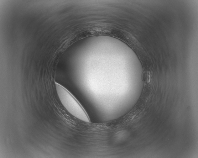 X0000057560915200509160806