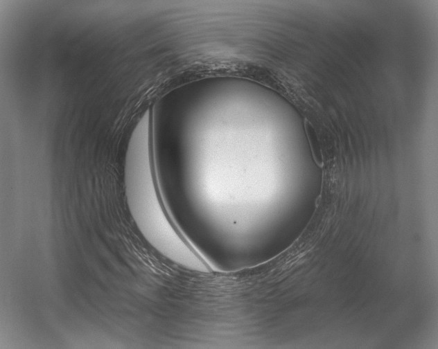 X0000057560916200509160806