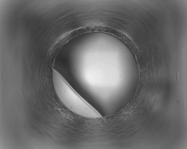 X0000057560919200509160806