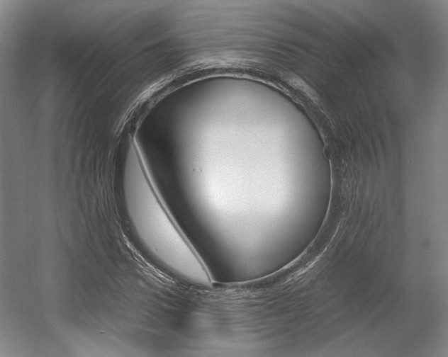 X0000057560922200509160806