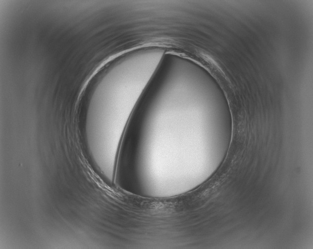 X0000057560923200509160806