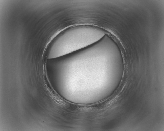 X0000057560925200509160806