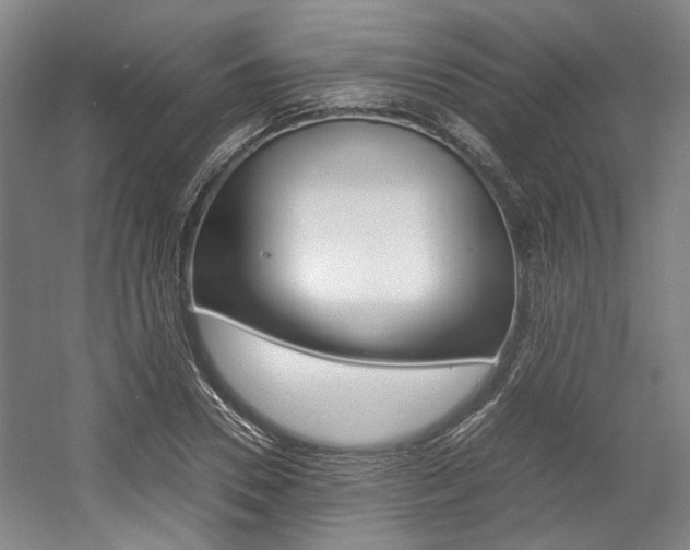 X0000057560930200509160806