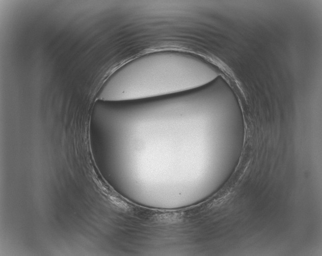 X0000057560937200509160806