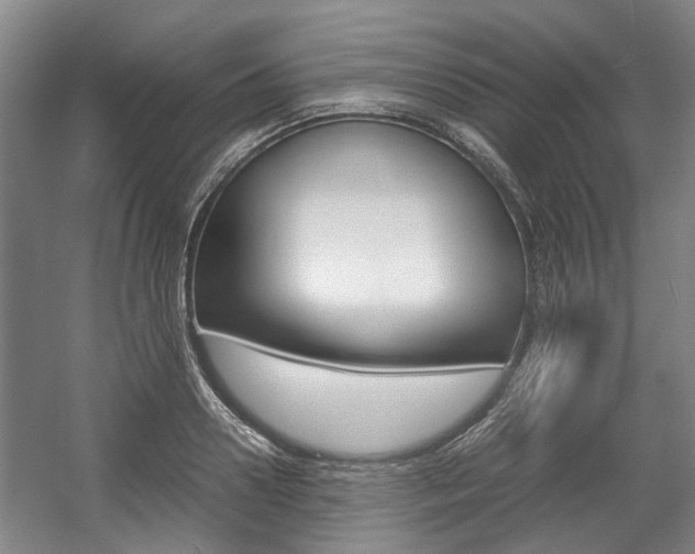 X0000057560938200509160806