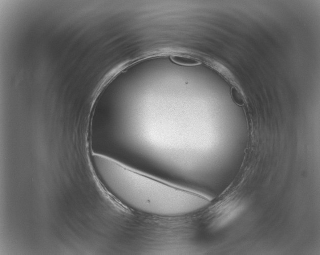 X0000057560954200509160807