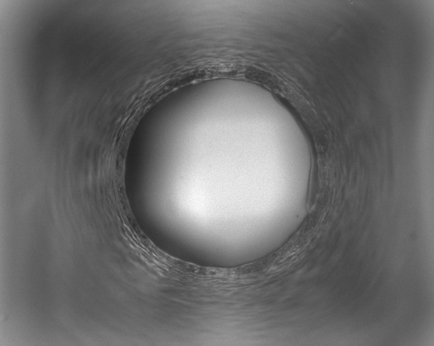 X0000057560961200509160806
