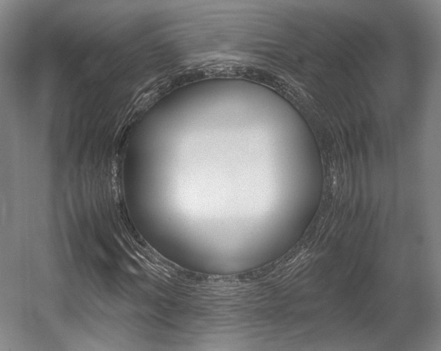 X0000057560964200509160806