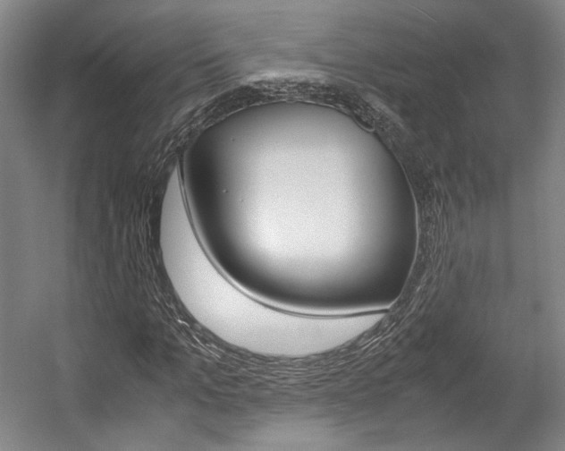 X0000057560965200509160806