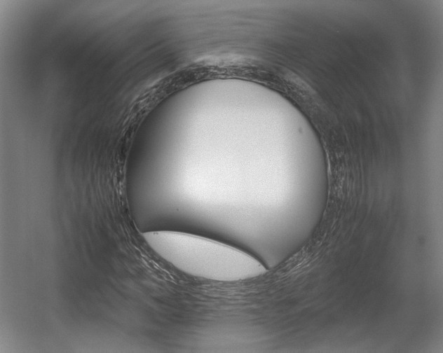 X0000057560966200509160806