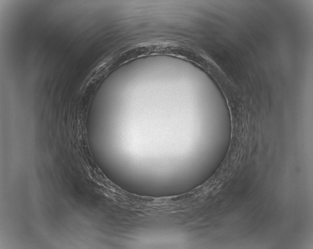 X0000057560967200509160806