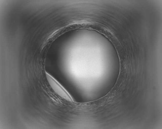 X0000057560968200509160806