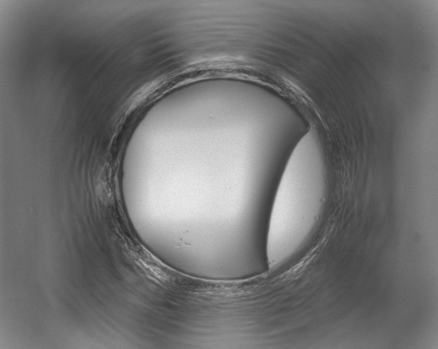 X0000057560970200509160806