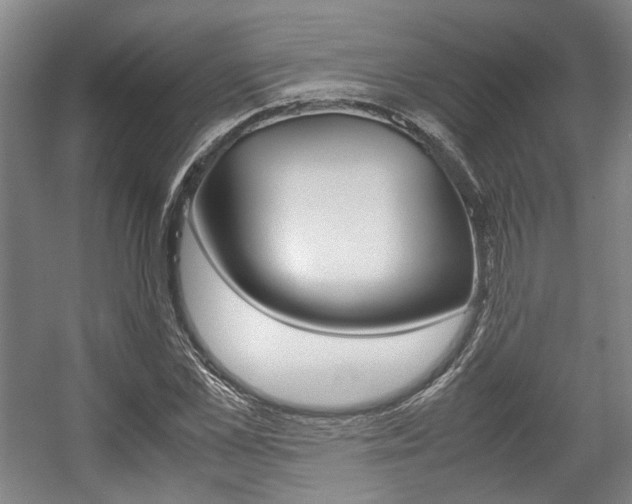 X0000057560973200509160806