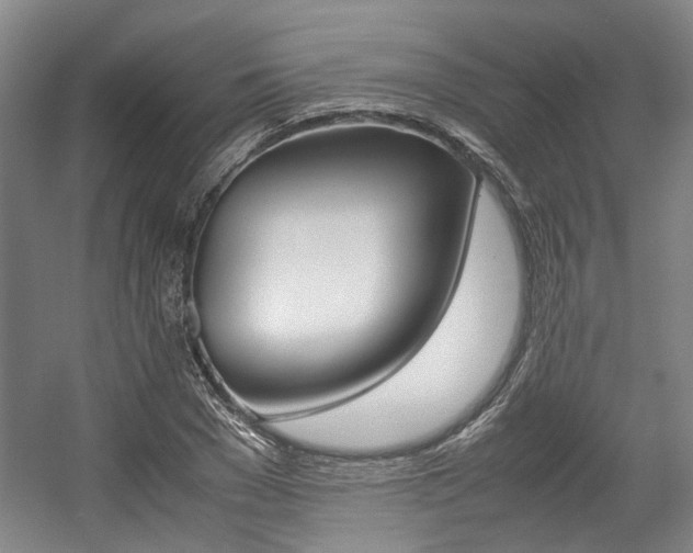 X0000057560977200509160806
