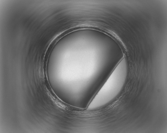 X0000057560980200509160806