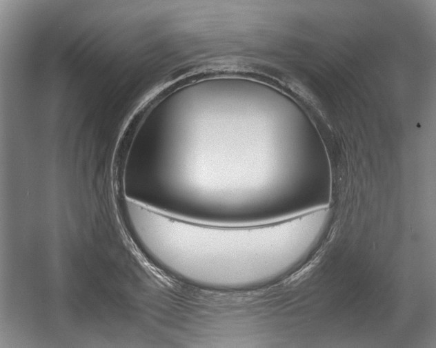 X0000057560981200509160806