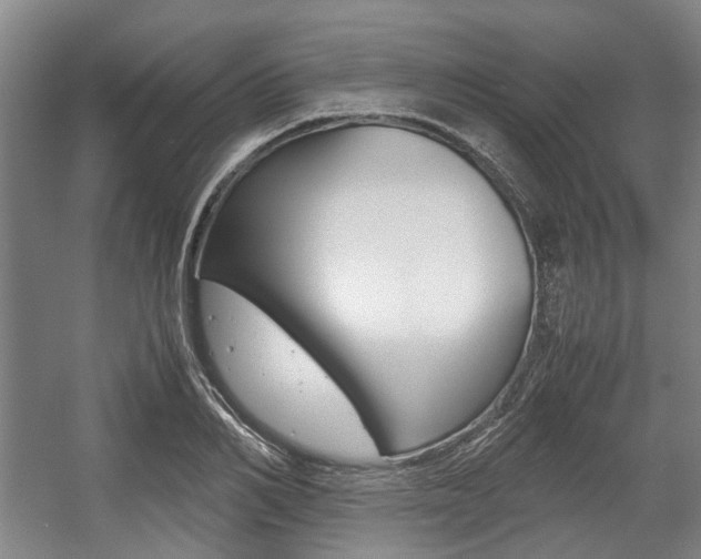 X0000057560982200509160806