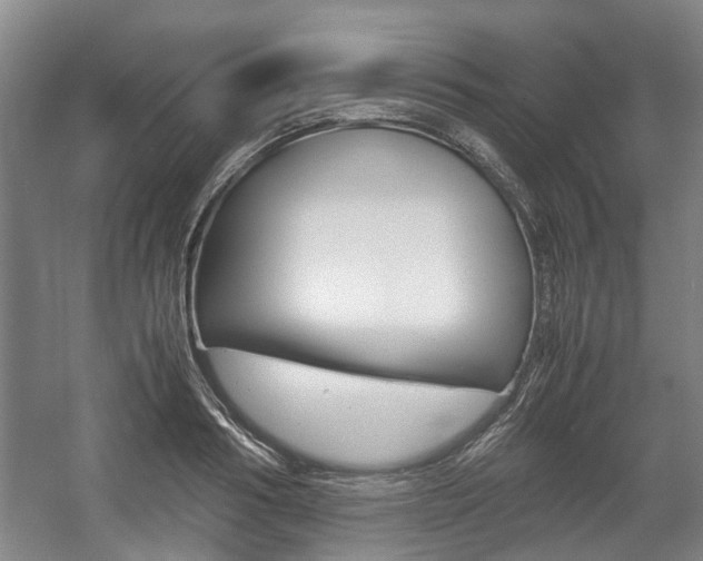 X0000057560986200509160806