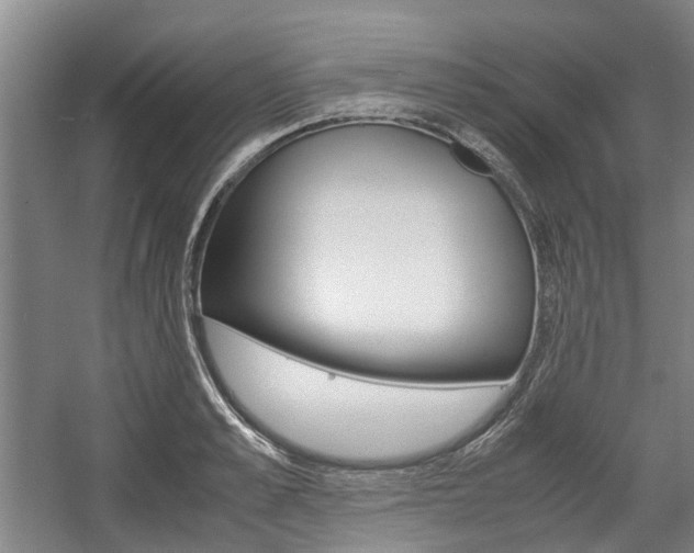 X0000057560989200509160806