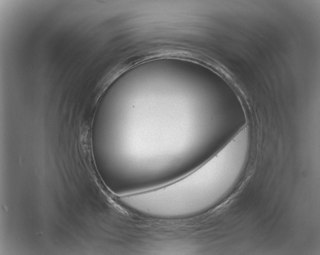 X0000057561001200509160805