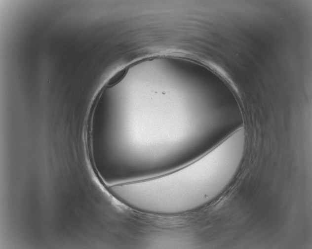 X0000057561007200509160805