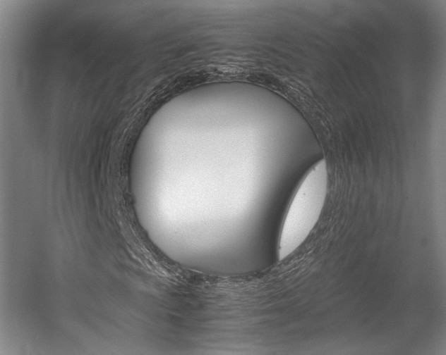 X0000057561009200509160804