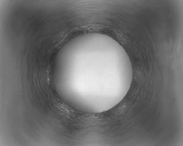 X0000057561010200509160804