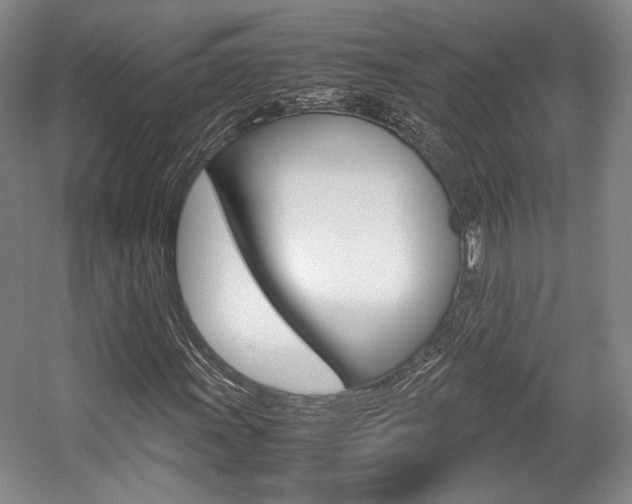 X0000057561011200509160804