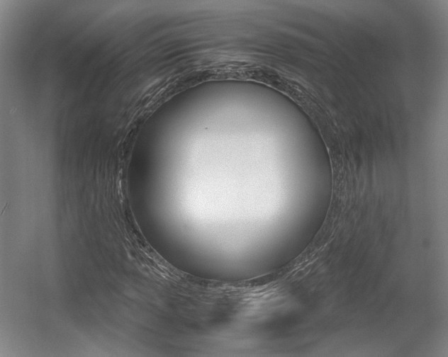 X0000057561013200509160804